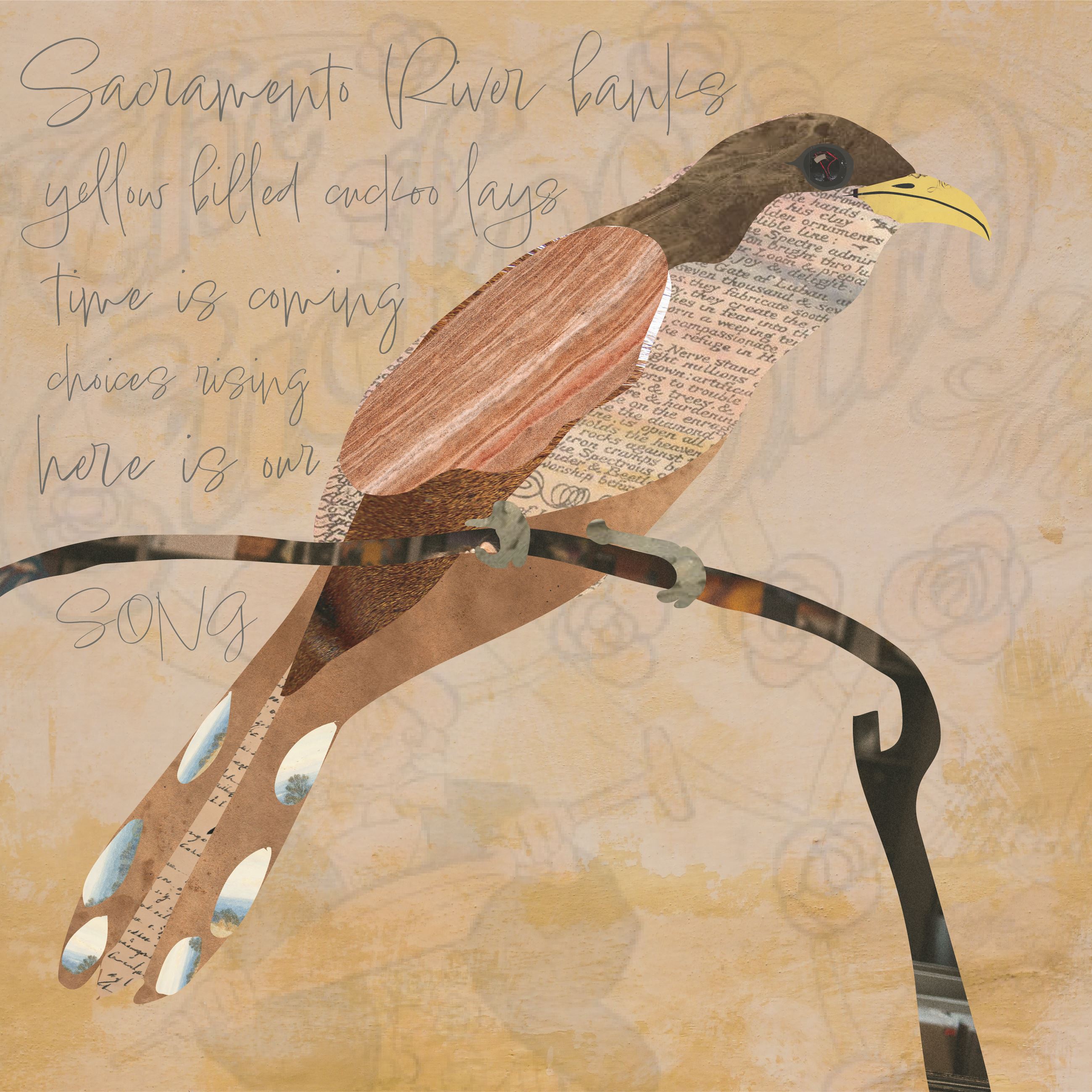 identiblocks - sample artwork - yellow billed cuckoo - MV - 42923 03 Artboard 3