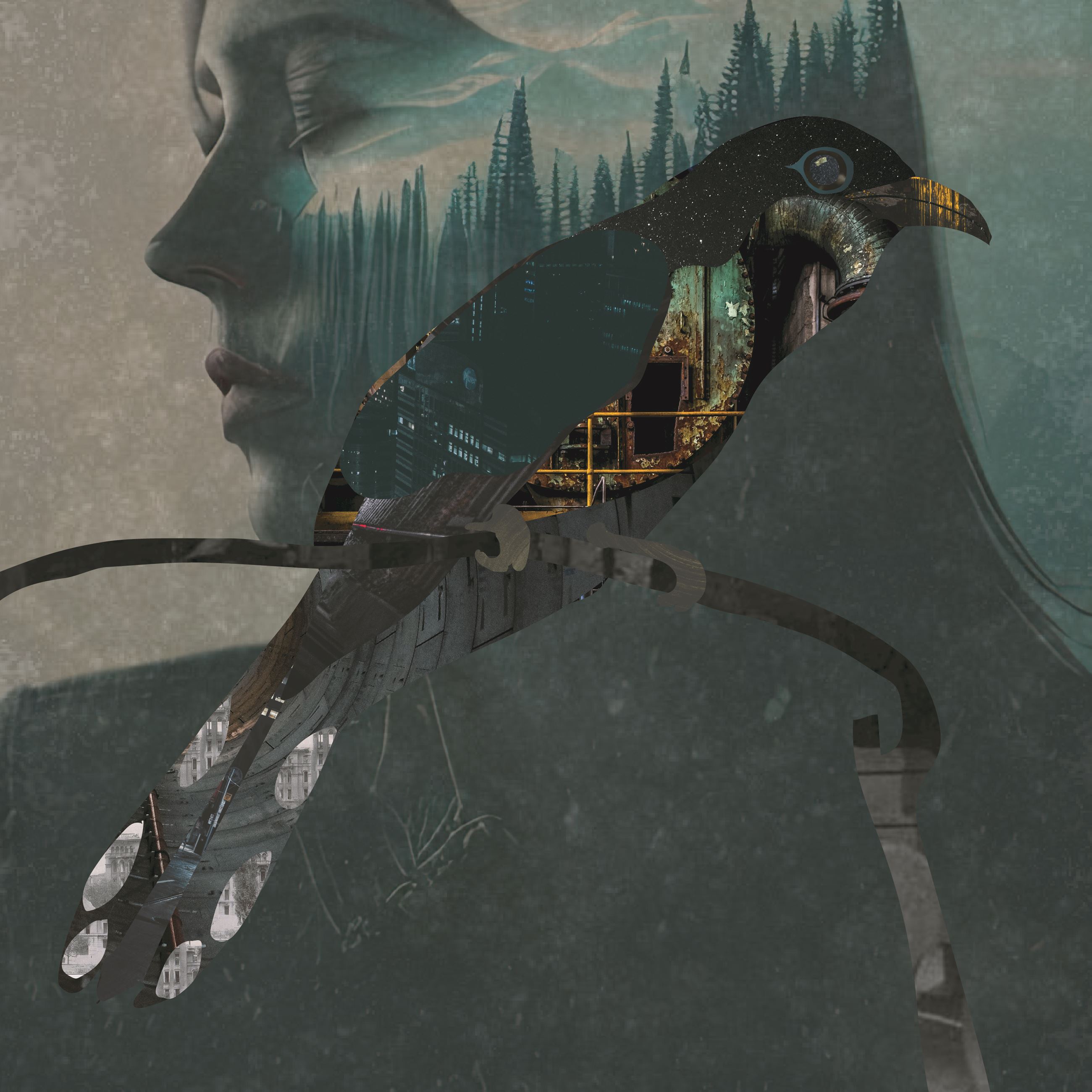 identiblocks - sample artwork - yellow billed cuckoo - MV - 42923 01 Artboard 1