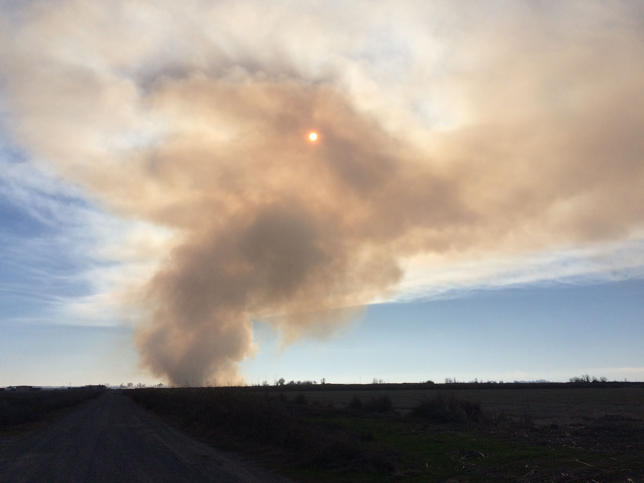 field burn horizon picture